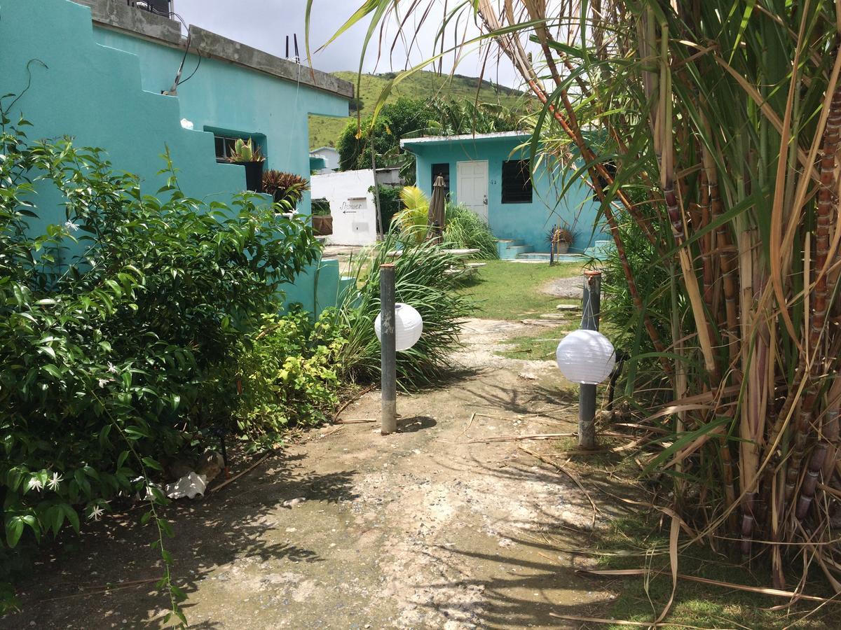 Vicky'S Keys Hostel Upper Prince's Quarter Ngoại thất bức ảnh