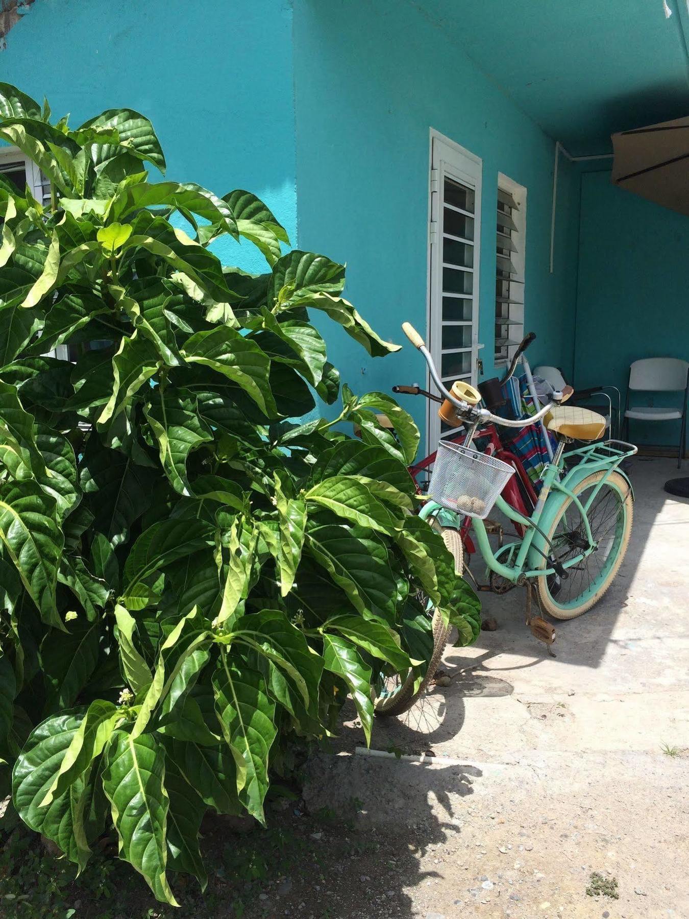 Vicky'S Keys Hostel Upper Prince's Quarter Ngoại thất bức ảnh